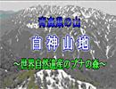 ブナの森　ビデオ